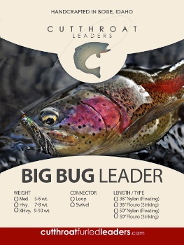 Big Bug Leaders