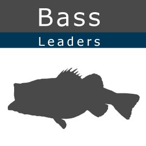 Bass Leaders