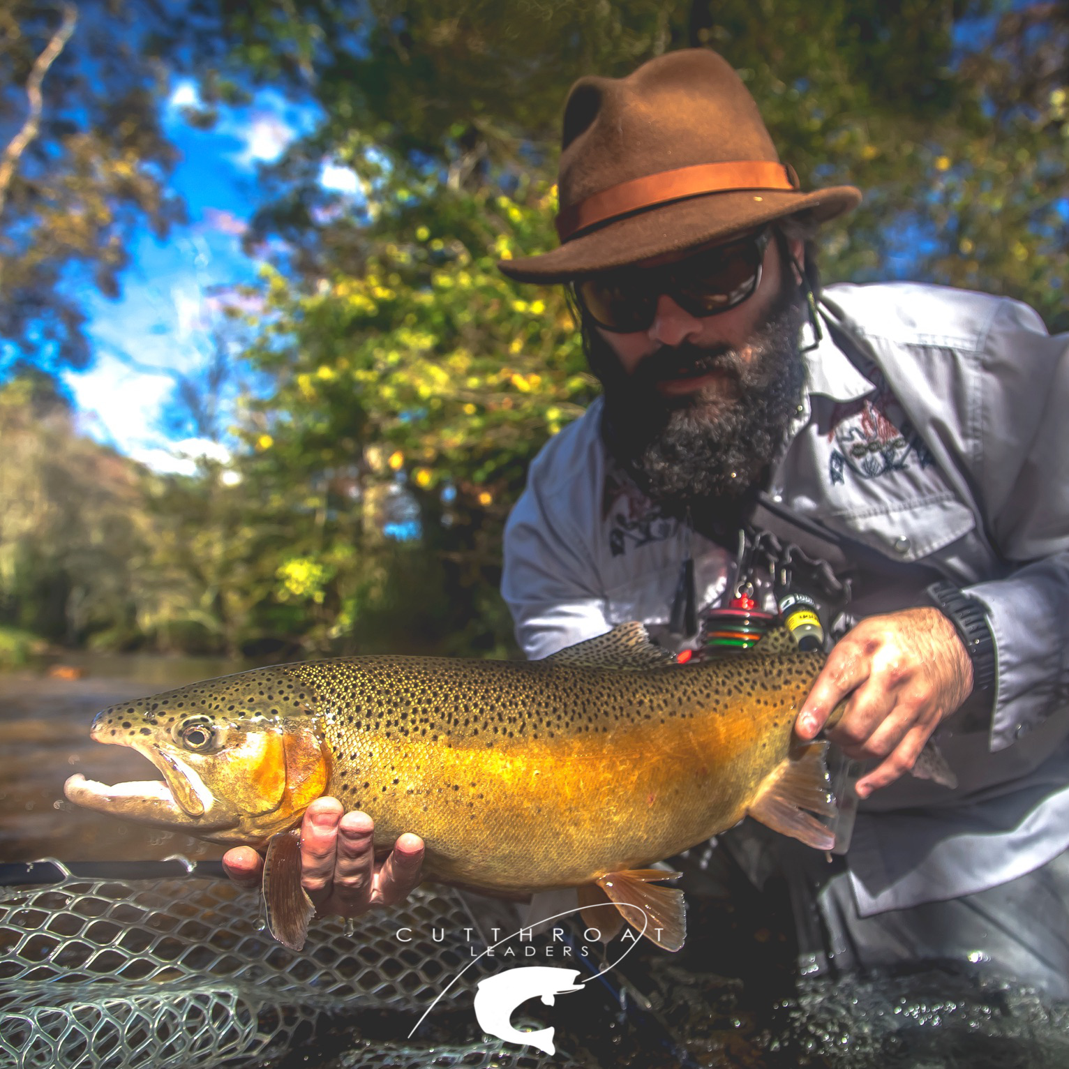Trout Leaders - Image 9