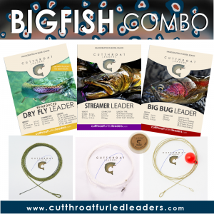 BIG Fish Combo