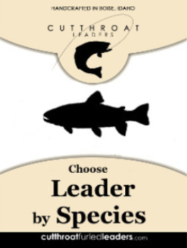 Leaders by Species
